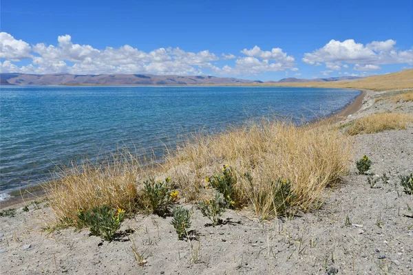 China. Great lakes of Tibet. Lake Teri Tashi Namtso in summer day