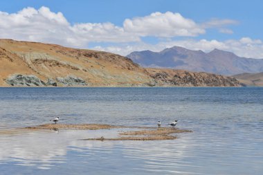 Çin, Tibet, bulutlar Budistler Manasarovar için kutsal göle yansıtılır