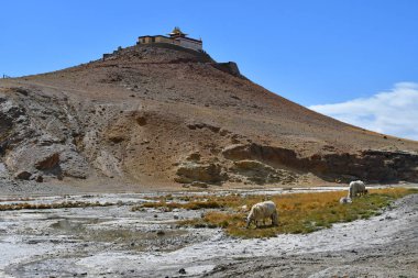 Çin, Tibet, Chiu Gompa Manastırı Manasarovar Gölü kıyısında bir tepe üzerinde