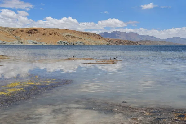 Çin, Tibet, bulutlar Budistler Manasarovar için kutsal göle yansıtılır