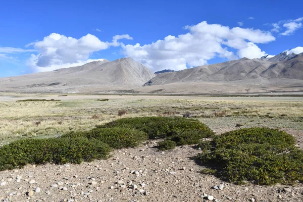 China Tíbet Montañas Orilla Del Lago Manasarovar —  Fotos de Stock