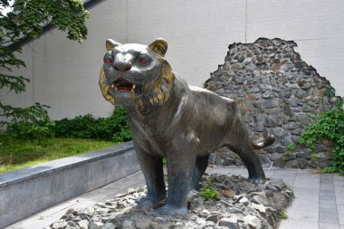 Vladivostok, Rusya Federasyonu, Temmuz, 29,2018. Yaz ayında Vladivostok Amur kaplanı bronz heykel