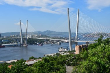 Rusya, köprünün Haliç güneşli bir günde Vladivostok içinde defne