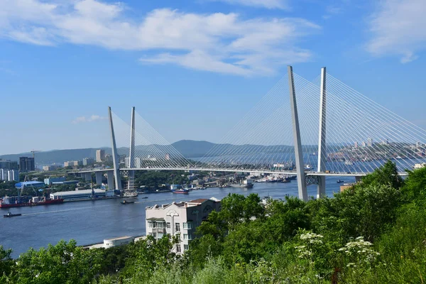 Ρωσία Γέφυρα Πέρα Από Χρυσό Κέρατο Bay Στο Βλαδιβοστόκ Ηλιόλουστη — Φωτογραφία Αρχείου