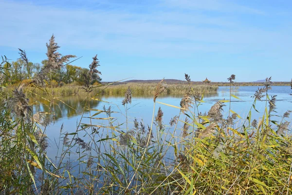 Озеро Yaoquan Глобальний Geopark Wudalianchi Півночі Китаю Восени — стокове фото