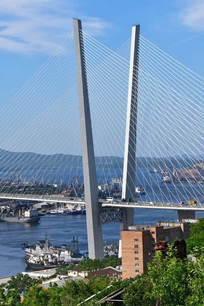 Vladivostok Russia August 2018 Cable Stayed Bridge Zolotoy Rog Bay — Stock Photo, Image