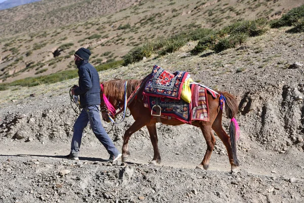 Dorchen Tibet China June 2018 Mann Horse Making Parikrama Kailas — Stock Photo, Image