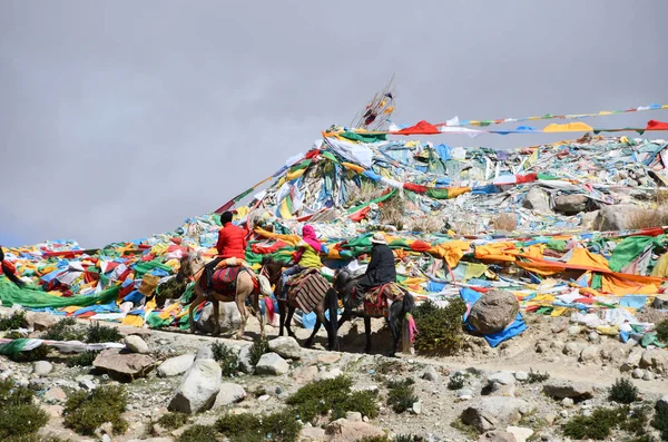 Dorchen 2018 Parikrama 在西藏 Kailas 附近的马 — 图库照片
