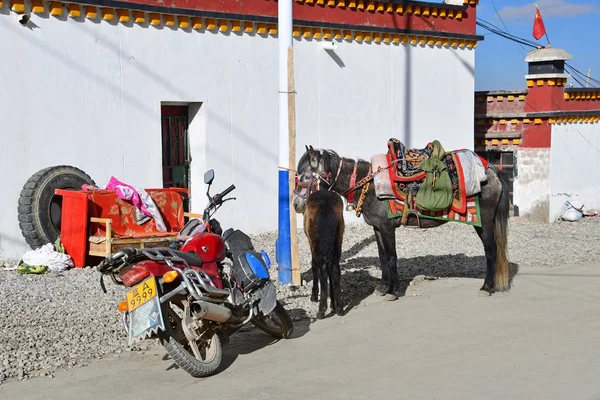 Dorchen Tibet China June 2018 Horse Moped Wall House Dorchen — Stock Photo, Image