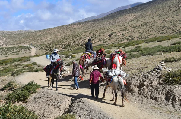 Dorchen Tibete China Junho 2018 Pessoas Com Cavalo Fazendo Parikrama — Fotografia de Stock