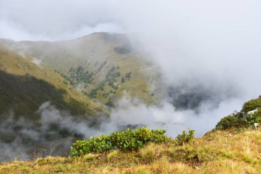Rusya, Kafkasya, sisli sonbahar günü Arkhyz dağlarında