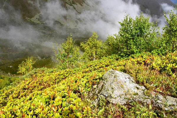 Russia Caucaso Nebbia Sulle Montagne Arkhyz Betulla — Foto Stock