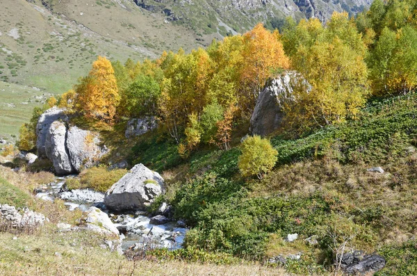 Russia Arkhyz Valle Del Fiume Kyafar Agur — Foto Stock