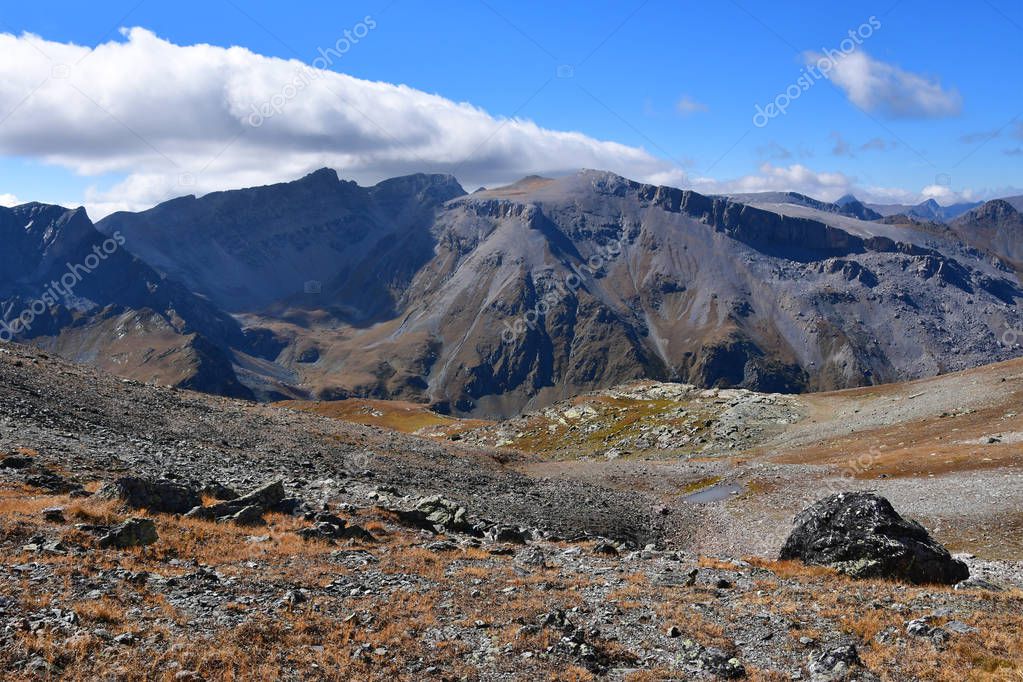 irinabal18