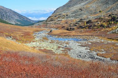 Rusya, Altay repablic, Ust-Koksinsky bölgesi, Nehri Vadisi Eylül ayında Acchan (Akchan)