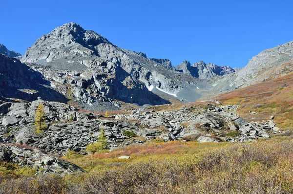 Rusia Altai Vista Kuiguk Kuyguk Pasar Tiempo Claro Desde Lago — Foto de Stock