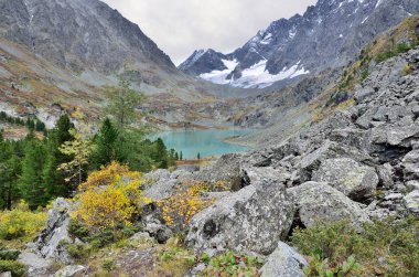 Sonbaharda Rusya, Altay Dağları, göl Kuyguk (Kuiguk)
