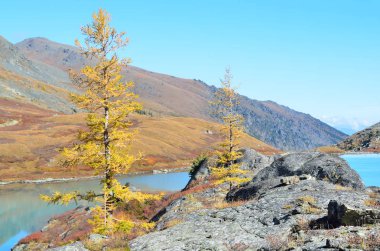 Güneşli havalarda sonbaharda Rusya, Altay Dağları, göl Acchan (Akchan)
