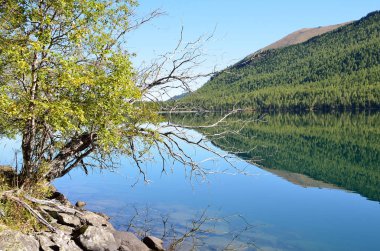 Rusya, Altay bölgesi, orta Multinskoye göl güneşli havalarda