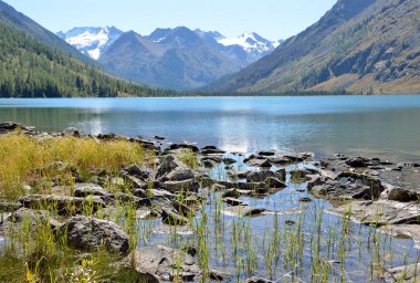 Rusya, Altay bölgesi, orta Multinskoye göl güneşli havalarda