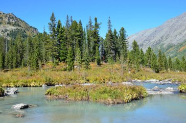 Rusya, dağ Altay, nehir Multa üst ve orta Multinskoye göller arasındaki alanda