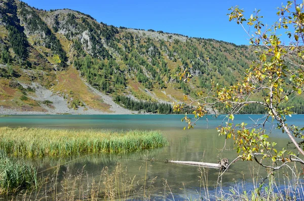 Rusia Wilayah Altai Tengah Danau Multinskoye Cuaca Cerah — Stok Foto