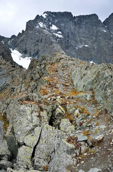 Rusia Montañas Altai Paso Kuiguk Kuyguk — Foto de Stock