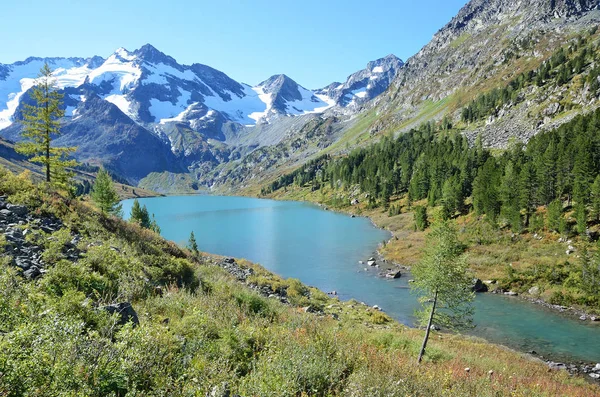 Altay bölgesi, Ust-Koksinsky bölgesinde, güneşli havalarda Gölü Poperechnoye (çapraz)