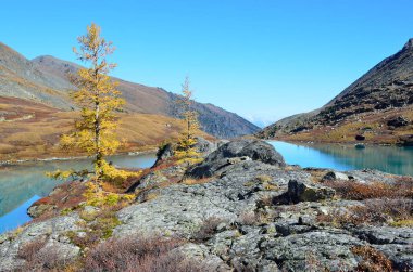 Güneşli havalarda sonbaharda Rusya, Altay Dağları, göl Acchan (Akchan)