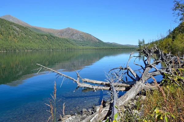 Russia Altai Territory Ust Koksinsky District Middle Multinskoye Lake September — Stock Photo, Image