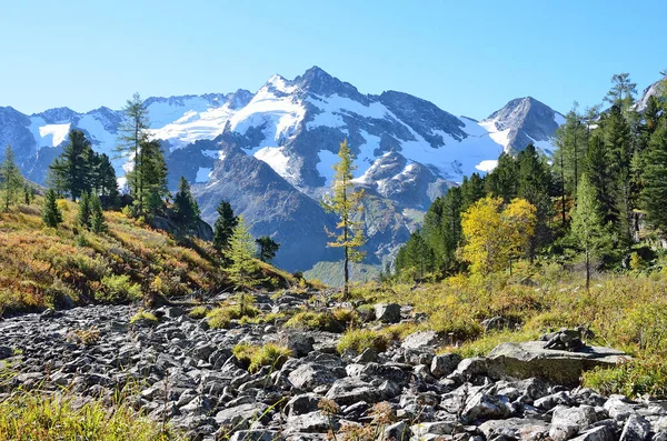 Russia Montagne Altai Valle Del Fiume Poperechnaya Croce — Foto Stock