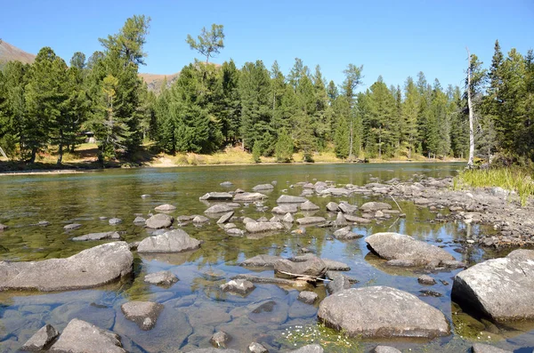 Rusia Montaña Altai Río Multa Fluye Desde Lago Multinskoe Inferior —  Fotos de Stock