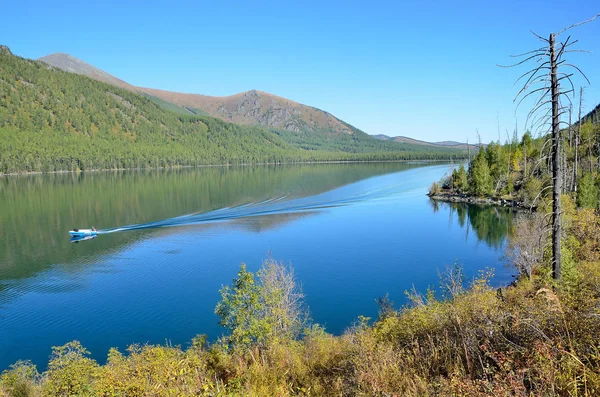 Rusia Territorio Altai Medio Lago Multinskoye Tiempo Soleado —  Fotos de Stock