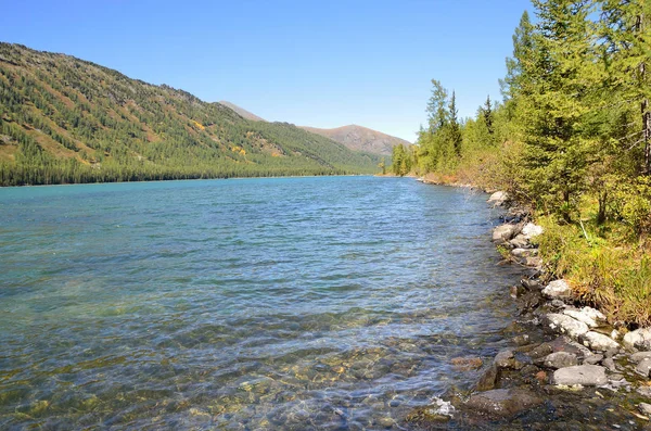 Rusia Territorio Altai Medio Lago Multinskoye Tiempo Soleado —  Fotos de Stock