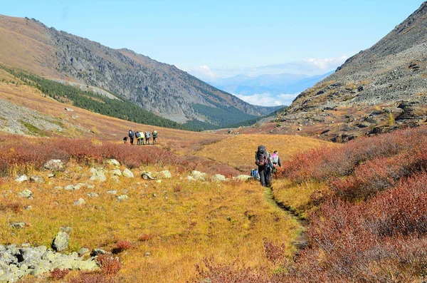 Territorio Altai Distrito Ust Koksinsky Rusia Septiembre 2016 Turistas Con —  Fotos de Stock