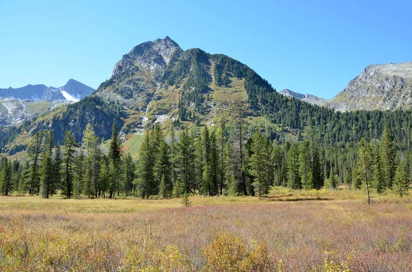 Russia Montagne Altai Valle Del Fiume Multa — Foto Stock