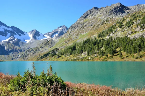 Altaj Grondgebied Ust Koksinsky District Lake Poperechnoye Kruis Bij Zonnig — Stockfoto