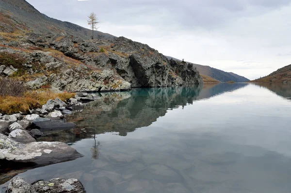 雨の日のロシア アルタイ山脈湖あっちゃん Akchan — ストック写真