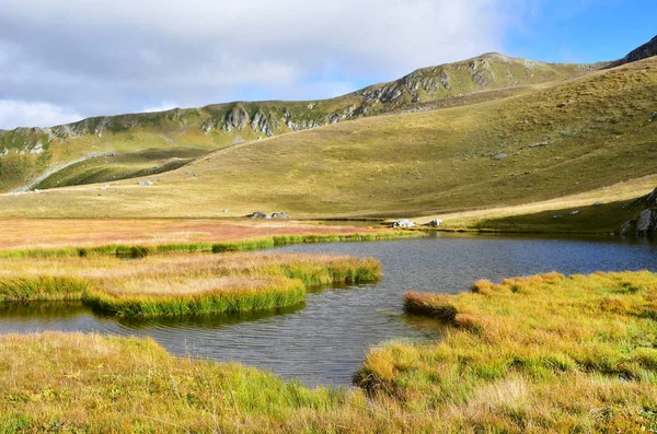 Rusia Colores Del Otoño Arkhyz Pequeño Lago Zona Zagedanskoye Pyatiozerye — Foto de Stock