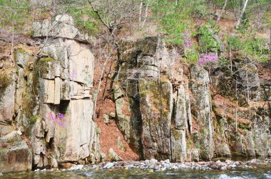Rusya, Chistovodnnoye, Primorsky Krai. Tayga, Chistovodnaya Nehri'nin kayalık mağaza bahar