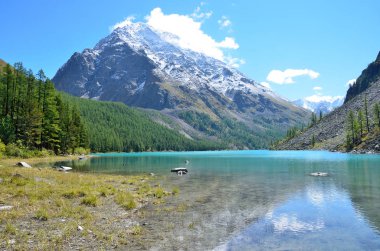 Büyük Shavlinskoe Gölü, Altay Dağları, Rusya Federasyonu
