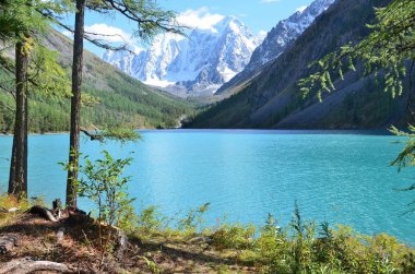 Ukrayna ve Krasavitsa (güzel ve öykü) bir büyük Shavlinskoye Gölü, Altay Dağları, Rusya'da dağlar yansıması