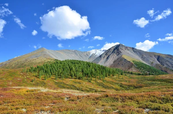 Russia Republic Altai Plateau Yoshtykyol Cloudy Day — Stock Photo, Image