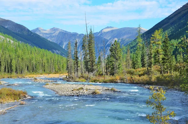 Rusia Montaña Altai Río Shavla Verano —  Fotos de Stock