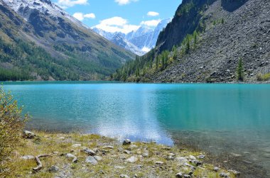 Ukrayna ve Krasavitsa (güzel ve öykü) bir büyük Shavlinskoye Gölü, Altay Dağları, Rusya'da dağlar yansıması