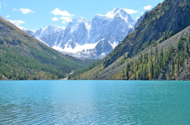 Dağlar Ukrayna ve Krasavitsa (güzel ve öykü) bir büyük Shavlinskoye Gölü, Altay Dağları, Rusya