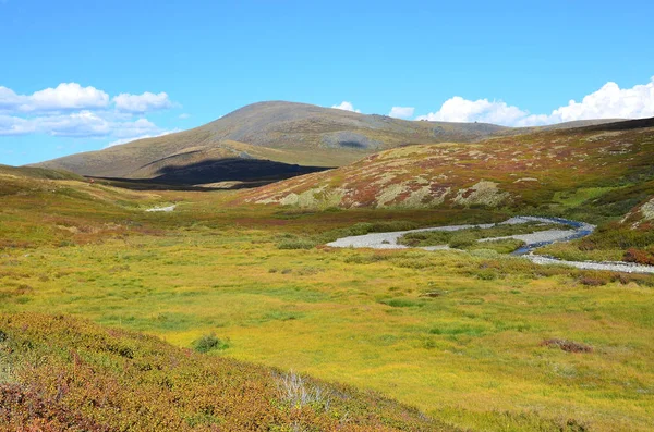 Ryssland Republiken Altai Platå Yoshtykyol Molnig Dag — Stockfoto