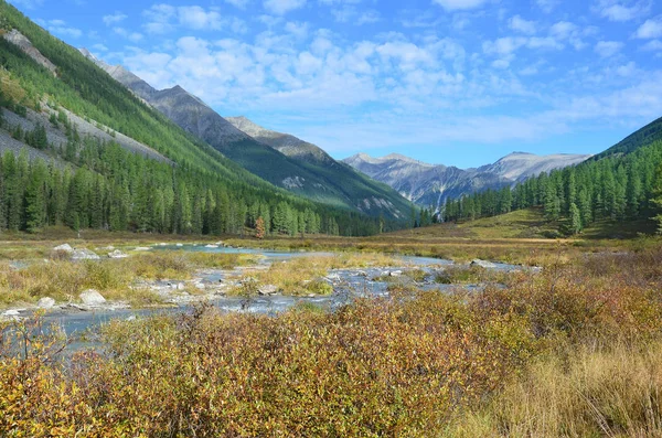 Rusia Montaña Altai Río Shavla Verano — Foto de Stock