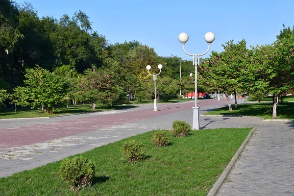 Russland Die Stadt Nevinnomyssk Stavropol Krai Boulevard Des Friedens Herbst — Stockfoto