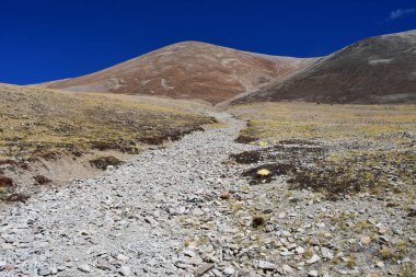 Tibet, yaz manzara fazla 5000 metre yükseklikte. Yolda IND Nehri'nin kaynağına